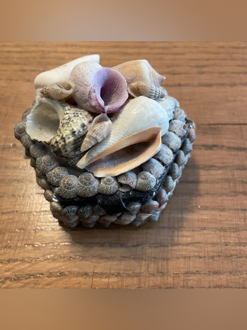 Vintage Seashell Covered Trinket Box Treasure, Jewelery, Keepsake, Pill Box